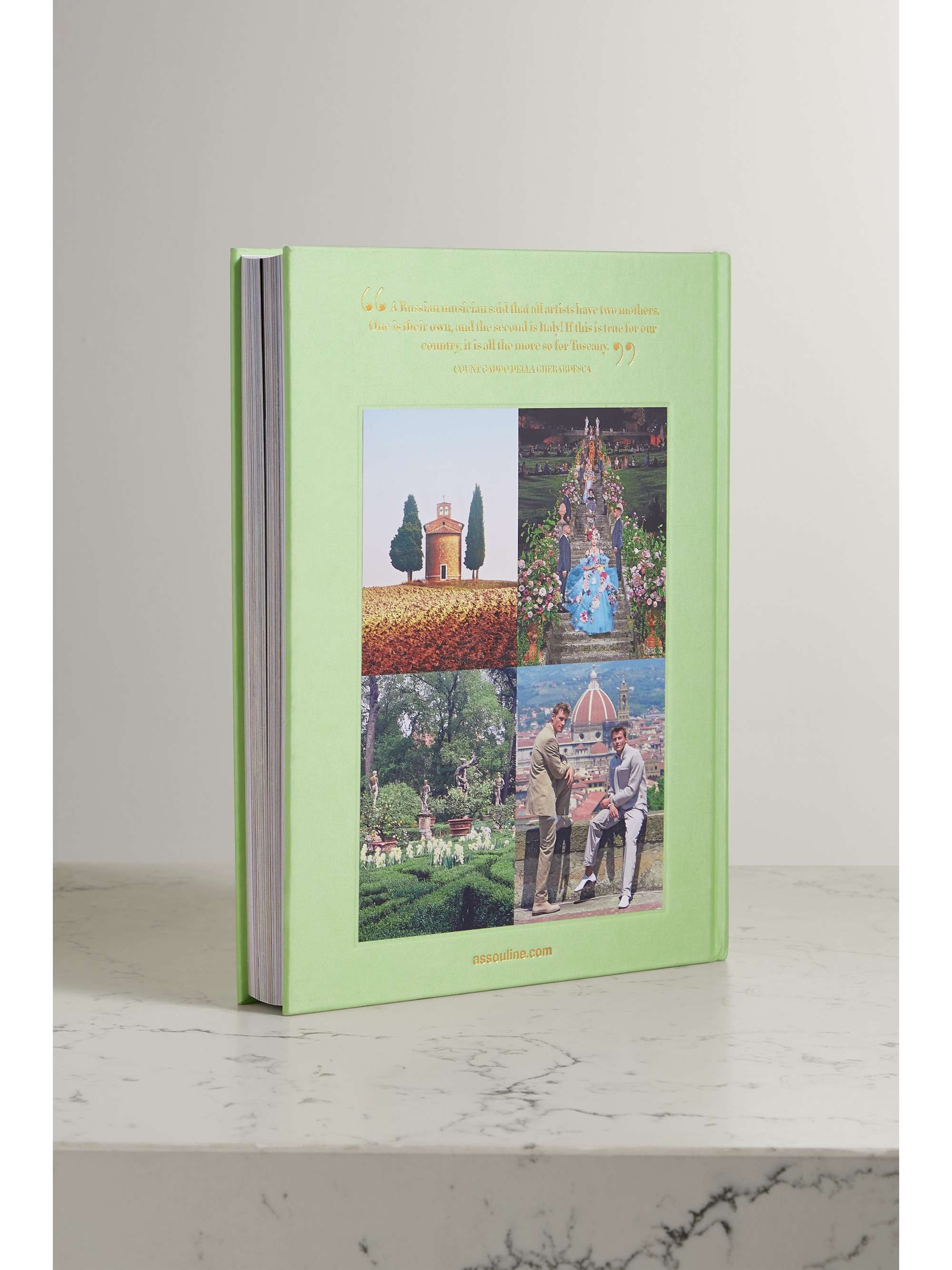 ASSOULINE Palm Beach by Aerin Lauder – Gebundenes Buch