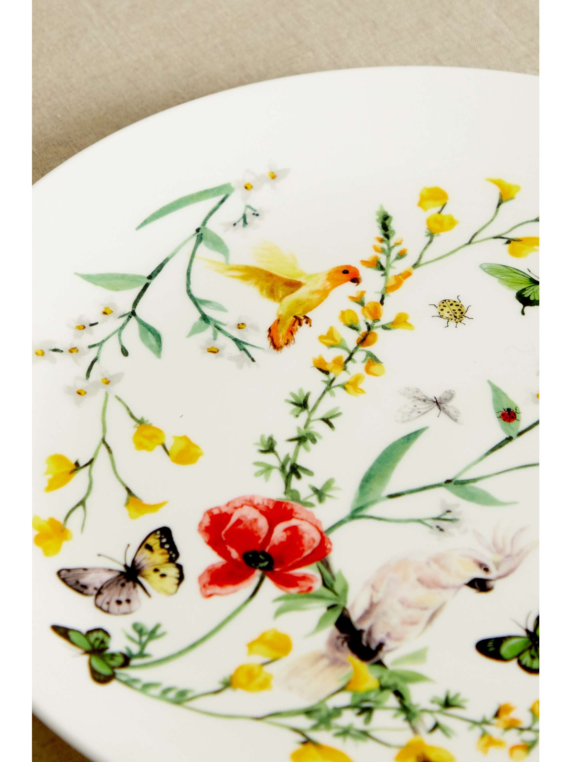 NIMEROLOGY Assiette en porcelaine anglaise Isabelle's Garden Party, 26,5 cm