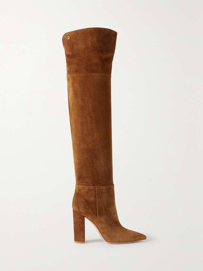Gianvito Rossi 100 Suede Over-the-knee Boots