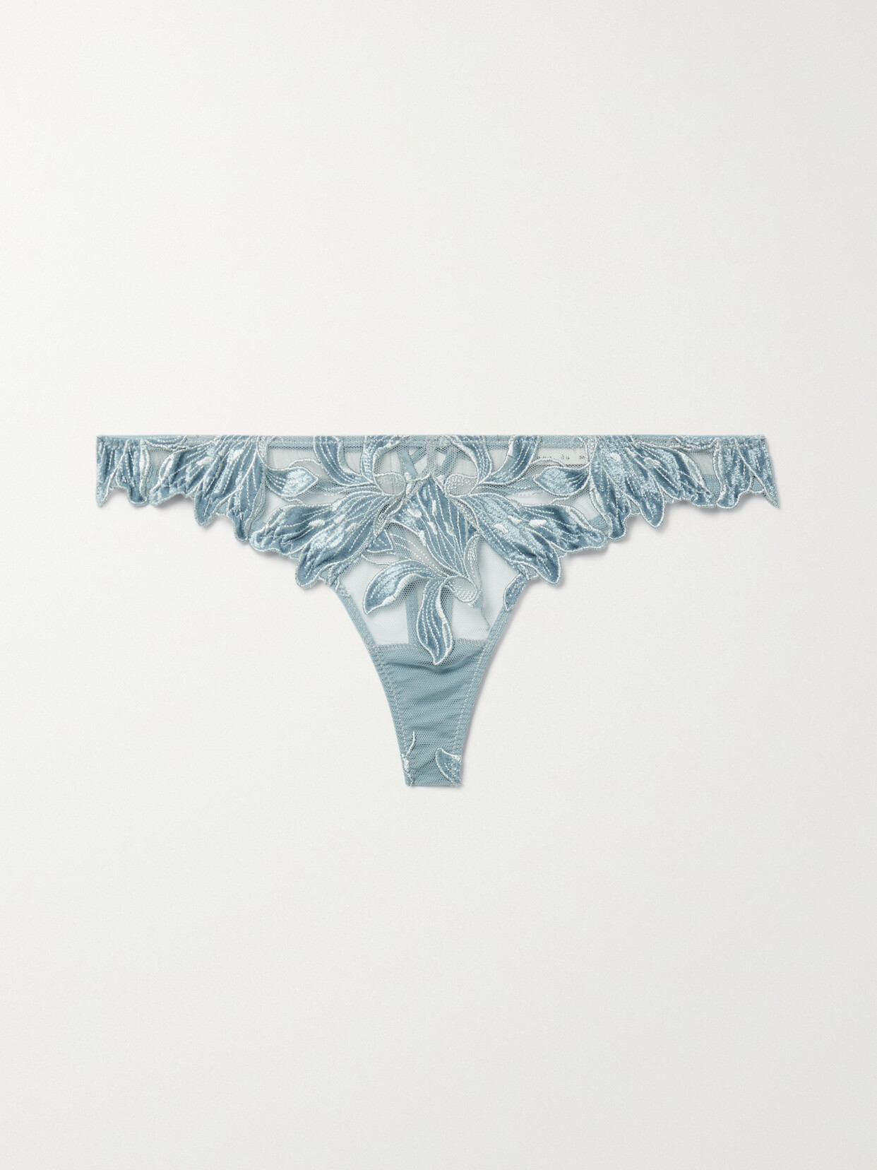 Fleur Du Mal Lily Velvet-trimmed Embroidered Tulle Thong In Blue