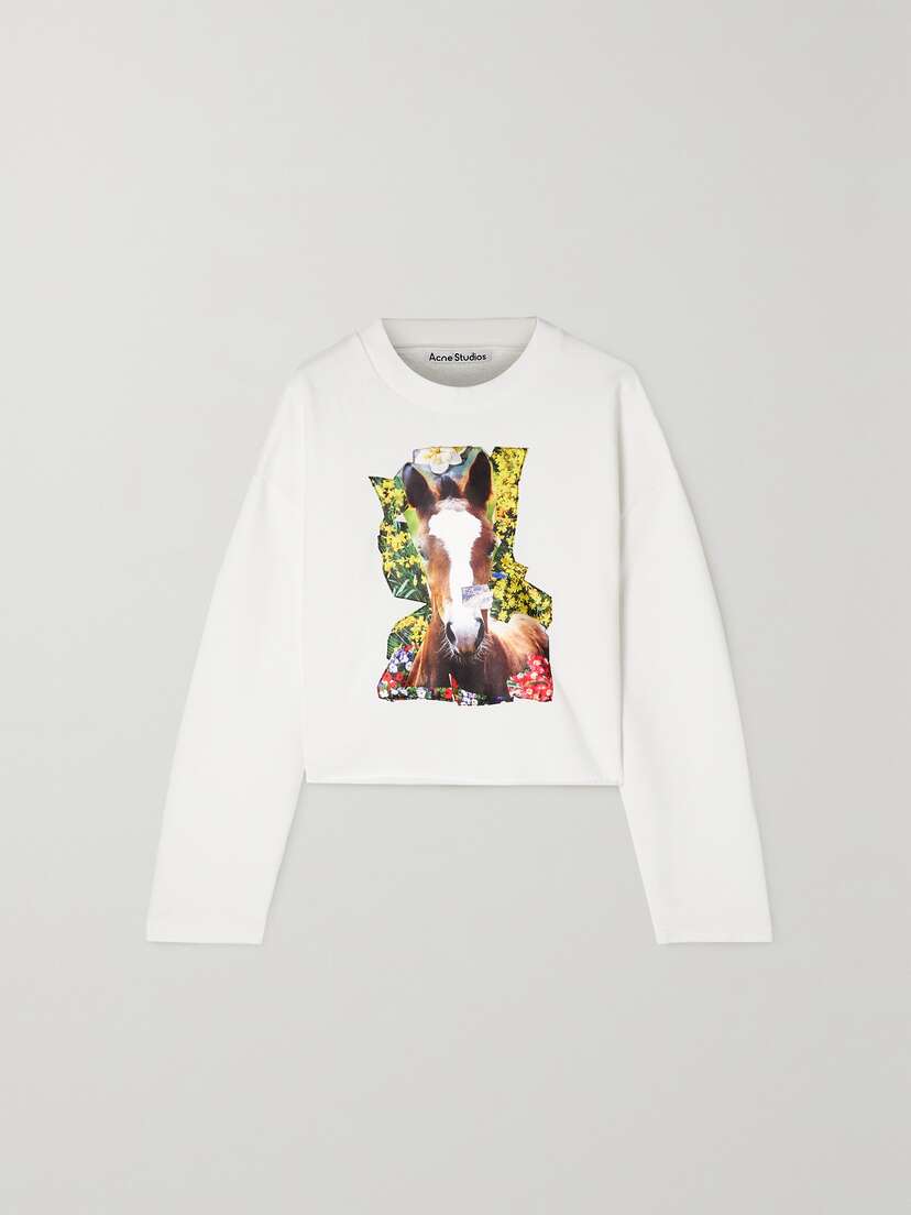 Acne Studios Printed Satin-appliquéd Cotton-jersey Sweatshirt