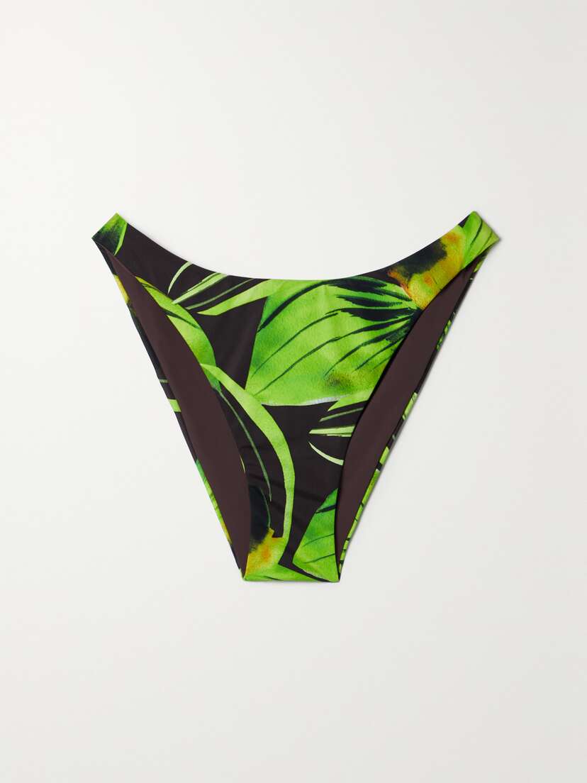 Louisa Ballou Printed Stretch Bikini Briefs