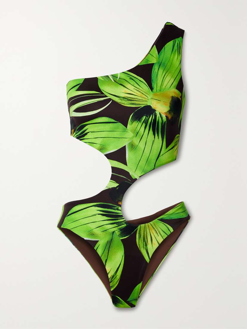 Louisa Ballou Carve One-shoulder Cutout Printed Stretch Swimsuit - x large