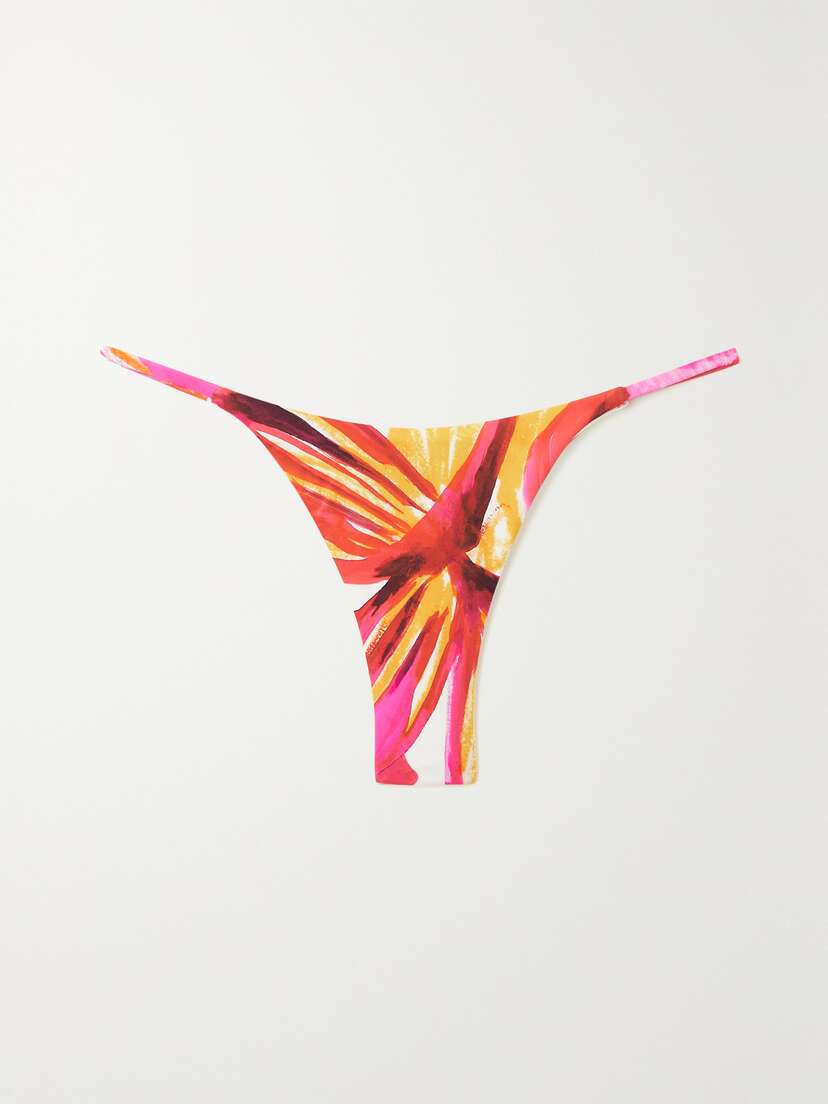 Louisa Ballou Printed Bikini Briefs
