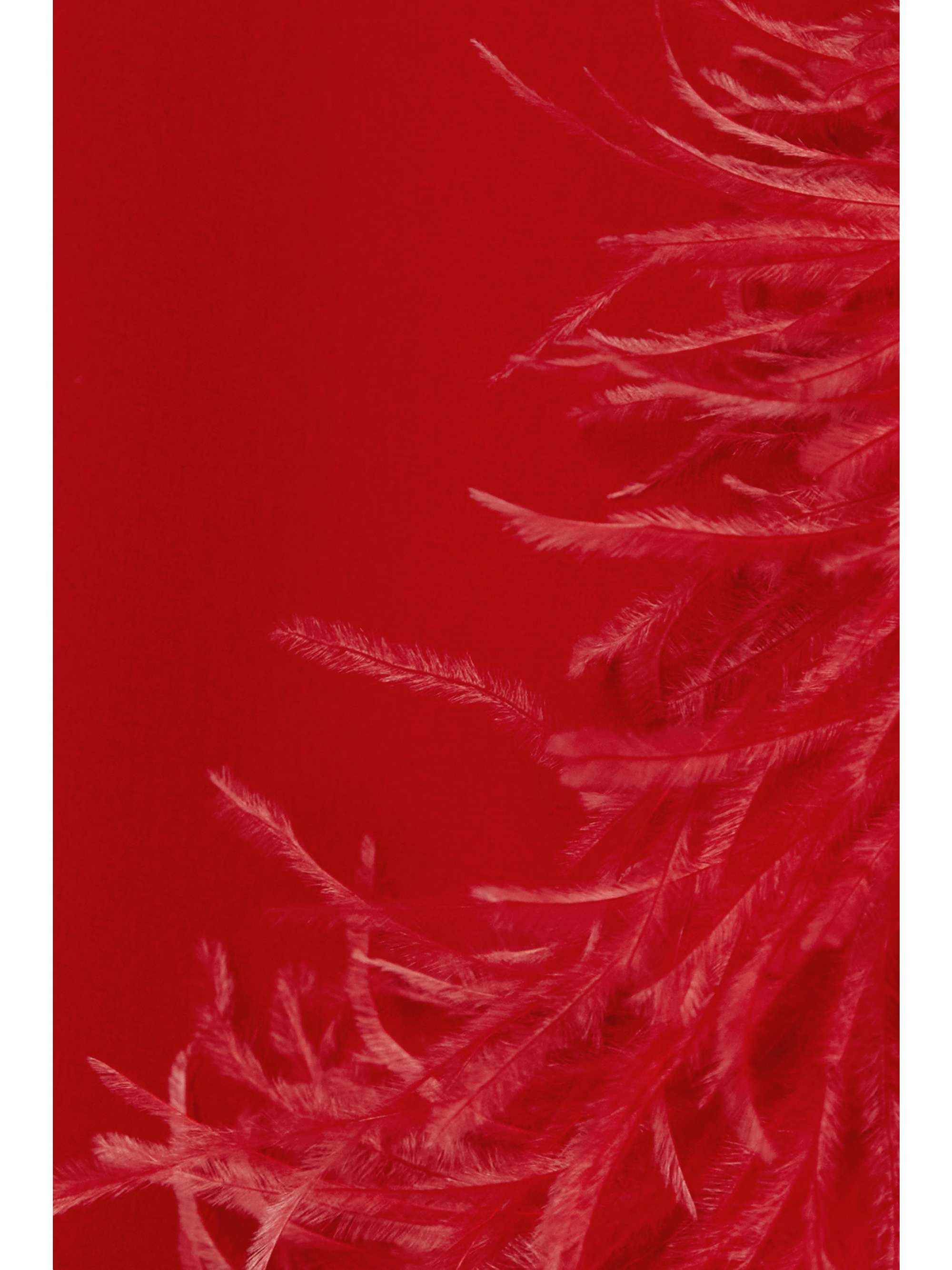 ALESSANDRA RICH Asymmetric feather-trimmed silk-georgette gown