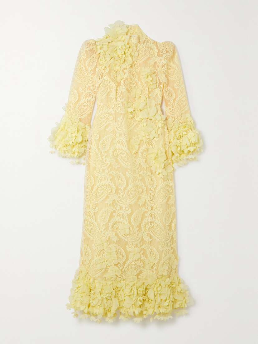 Zimmermann High Tide Appliquéd Cotton-blend Lace Midi Dress