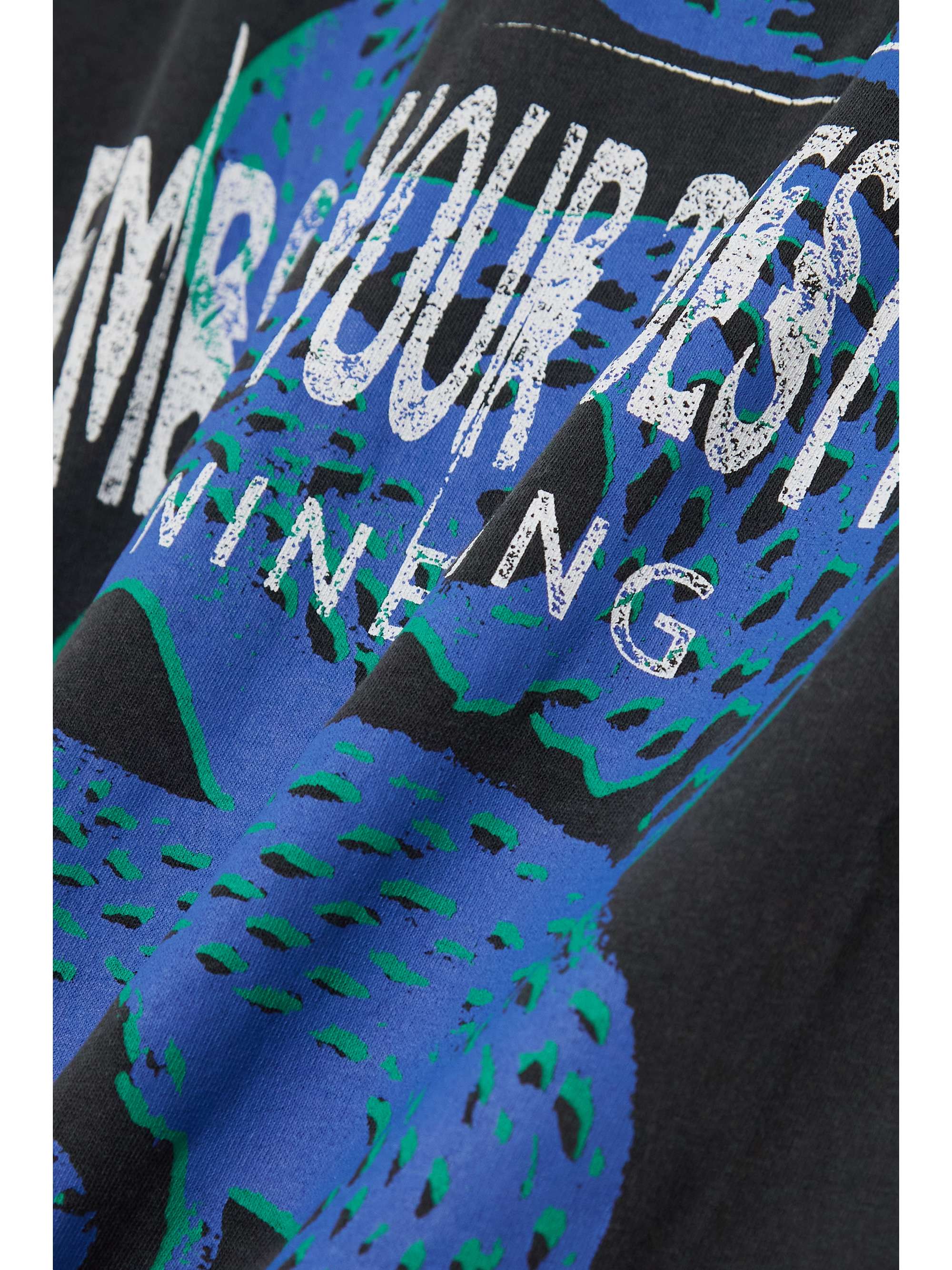 ANINE BING Walker Viper printed organic cotton-jersey T-shirt