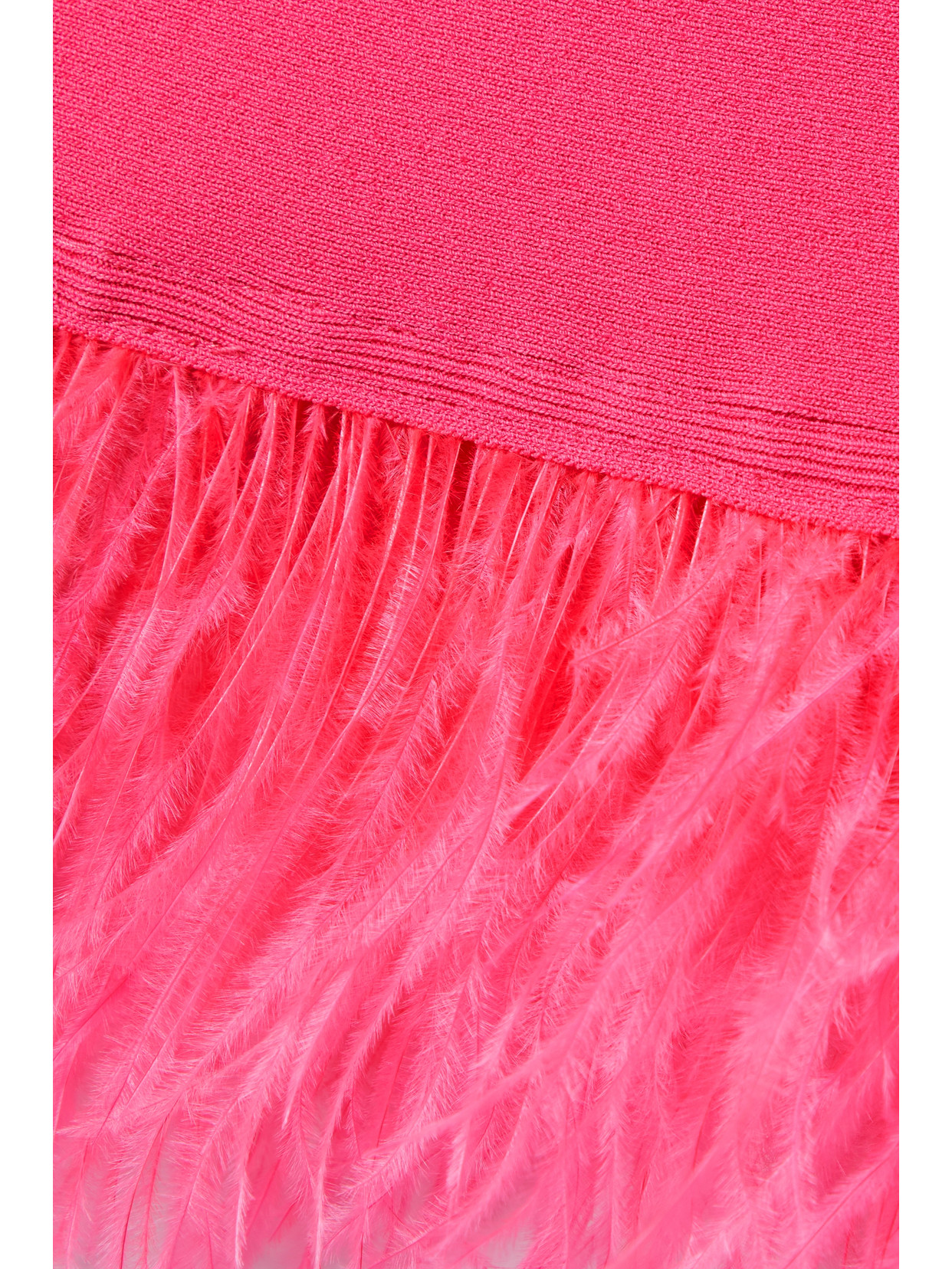 Chaya Feather-Trimmed Mini
