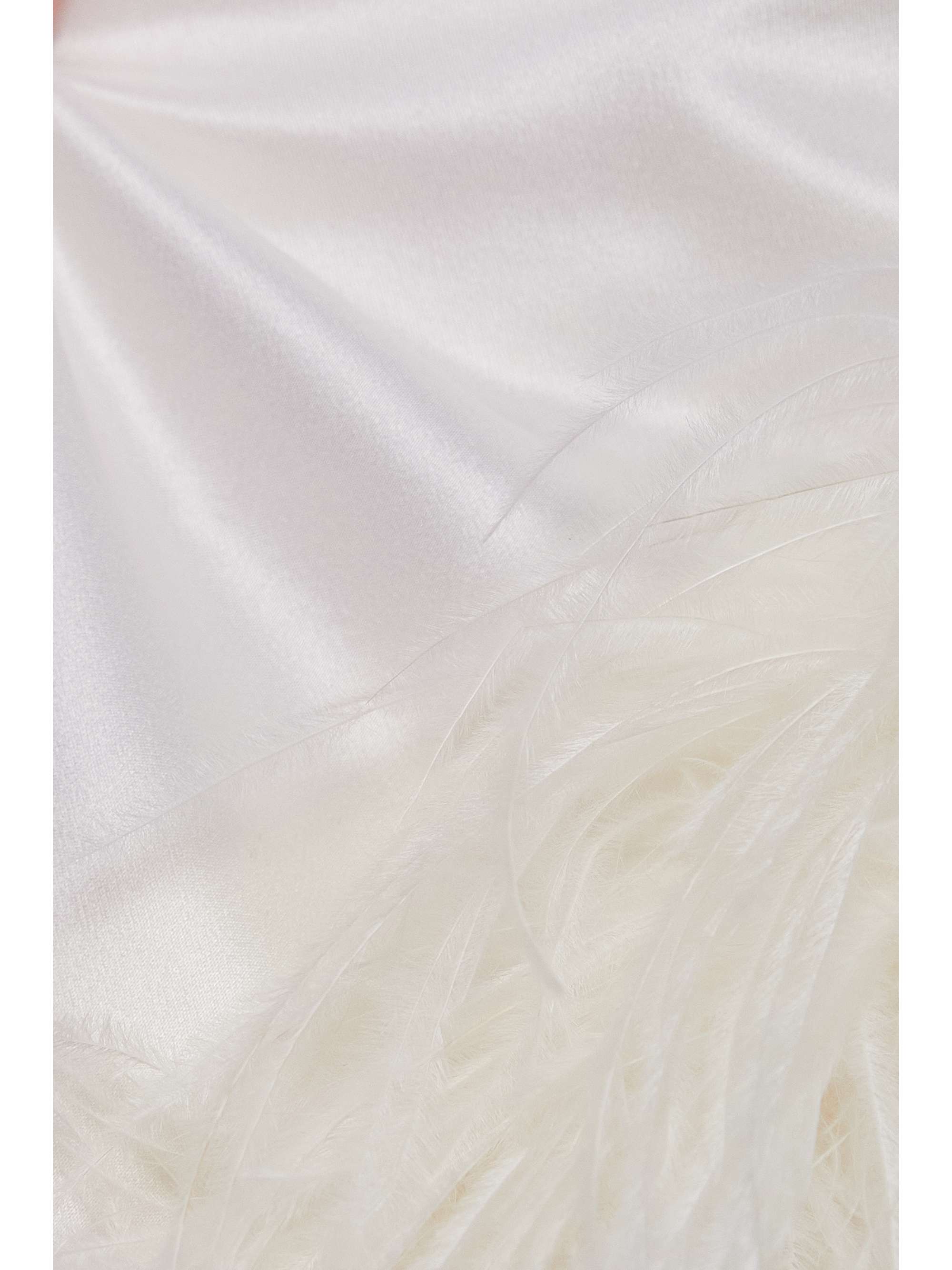 ALESSANDRA RICH Asymmetric feather-trimmed silk-georgette gown