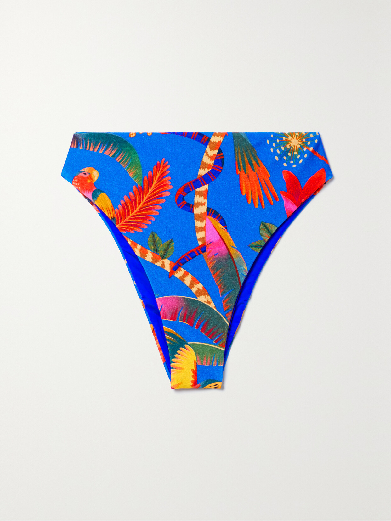 Farm Rio - Printed Bikini Briefs - Blue