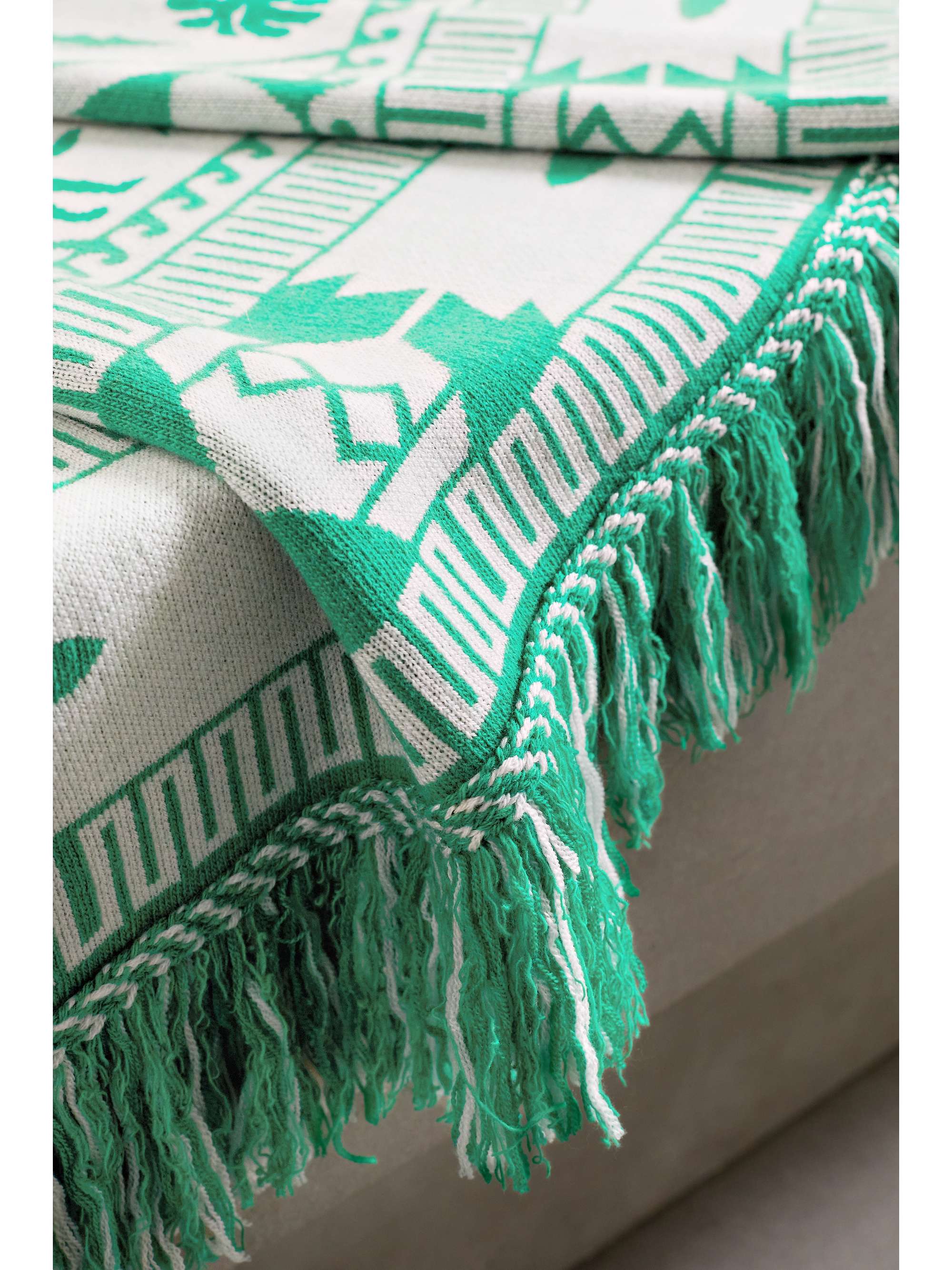 ALANUI Explosion Nature fringed cotton-blend jacquard blanket