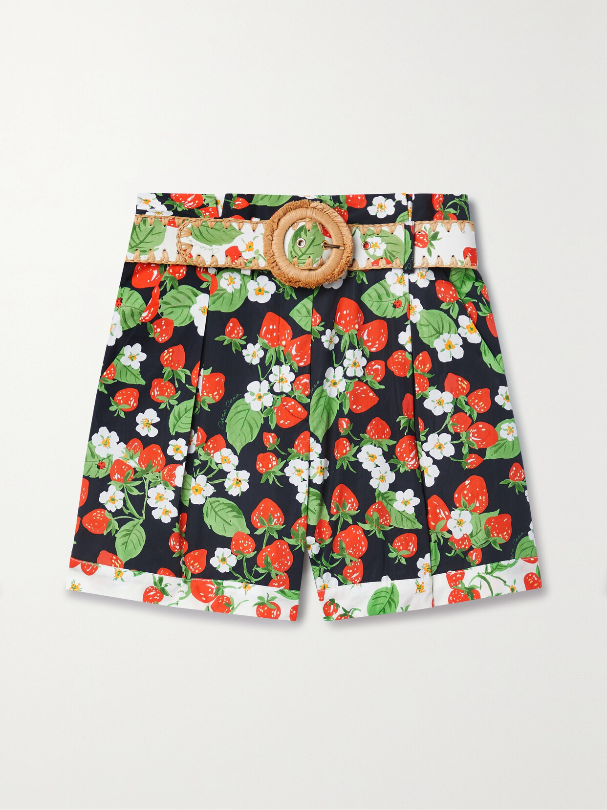 Cara Cara Palmer Belted Pleated Printed Cotton-poplin Shorts In Multi