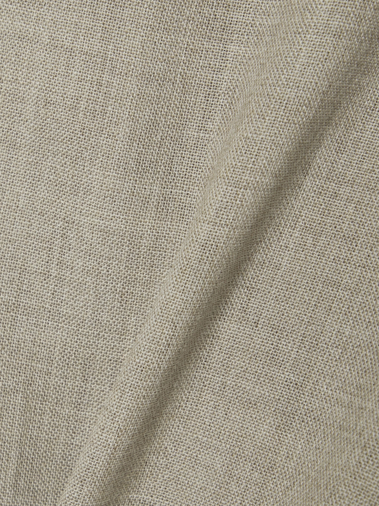 The Row Bufus Pleated Cotton-poplin Straight-leg Pants In Neutrals