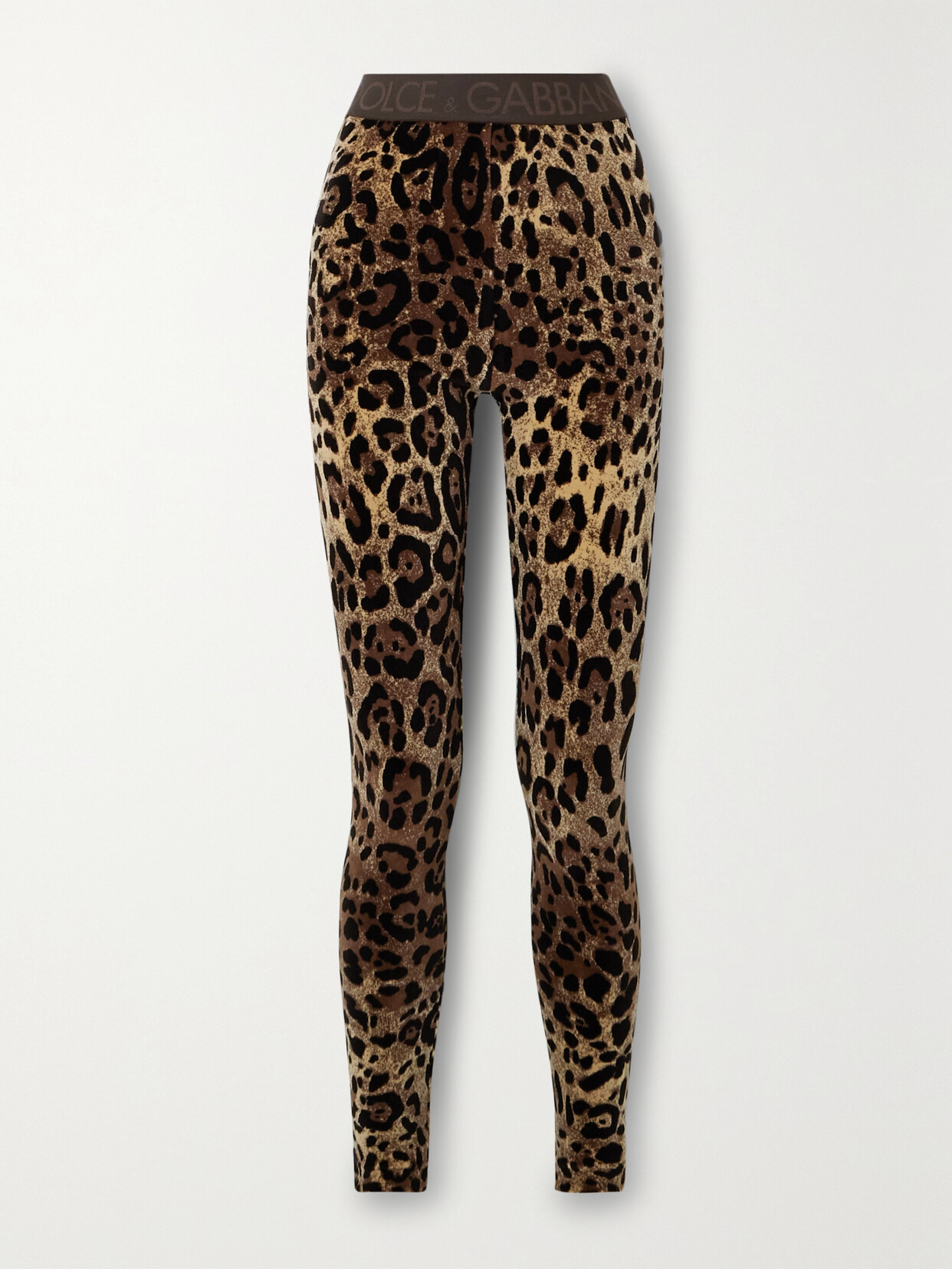 Dolce & Gabbana - Leopard-jacquard Cotton-chenille Leggings - Animal print