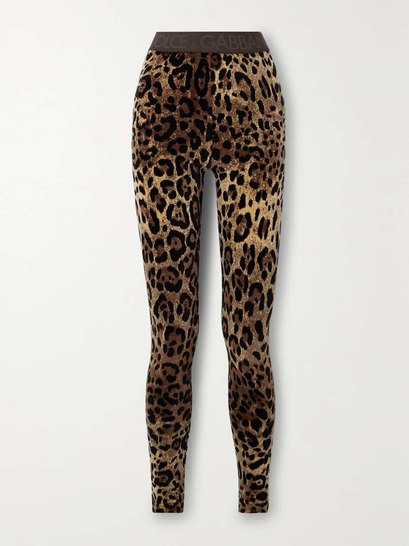 Dolce & Gabbana Leopard-jacquard Cotton-chenille Leggings