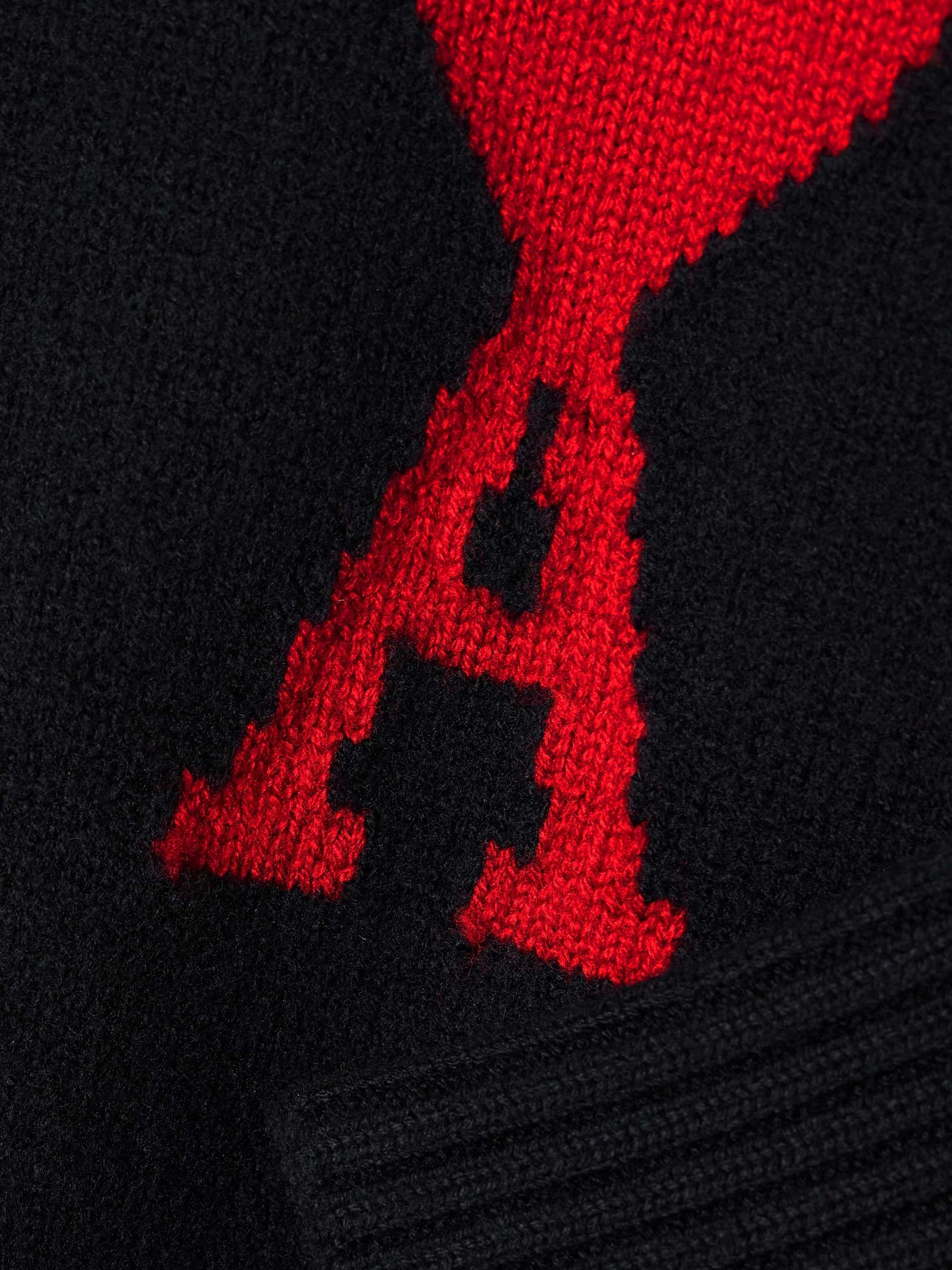 AMI PARIS 