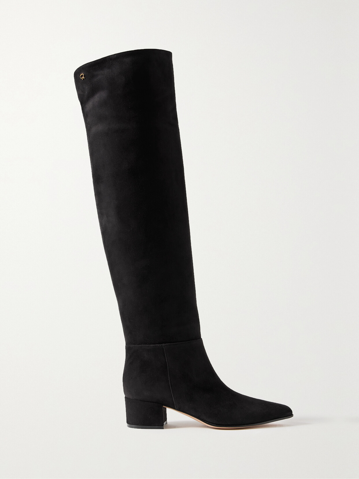 Gianvito Rossi Camoscio 45 Suede Over-the-knee Boots - Black