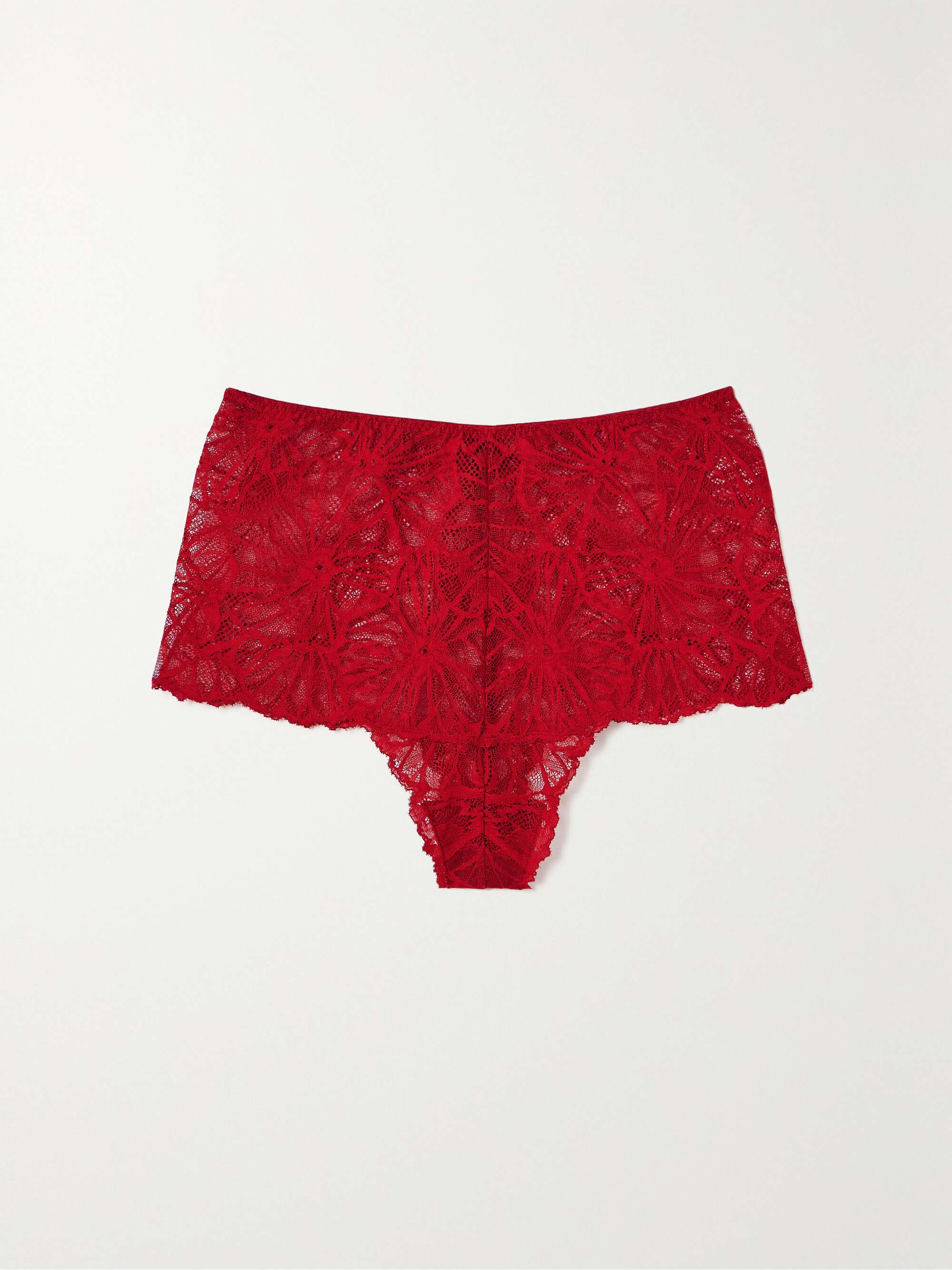 DORA LARSEN Constance stretchrecycled lace briefs NETAPORTER