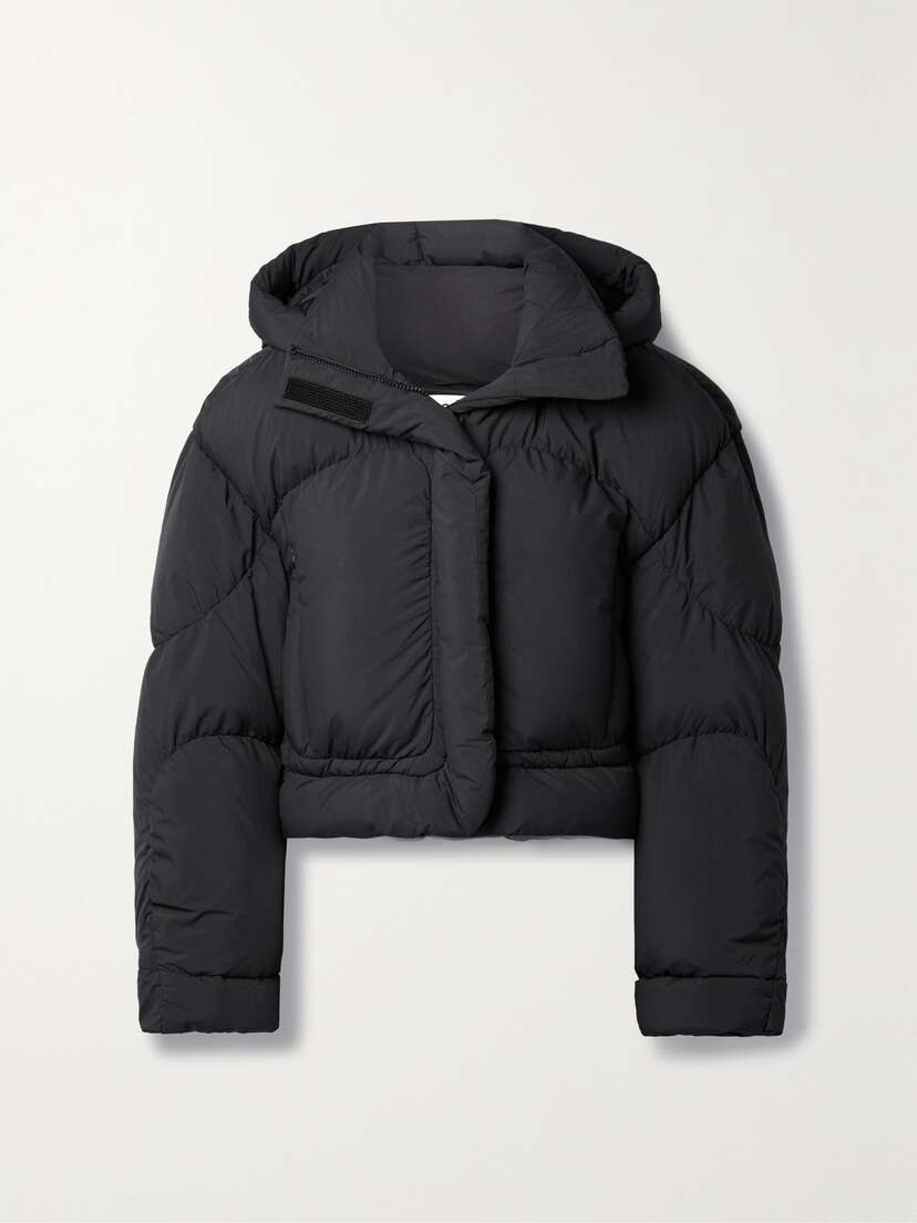 Acne Studios Cropped Hooded Padded Quilted Shell Down Jacket - EU 40