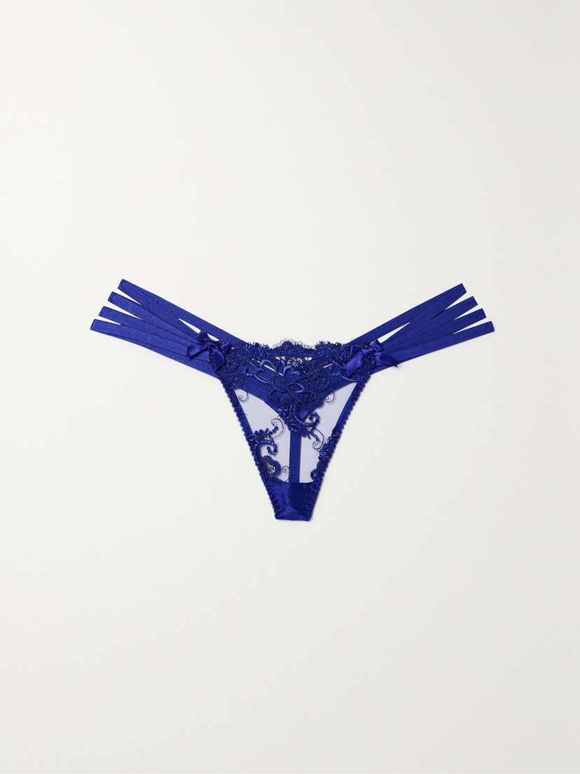 Agent Provocateur Dioni Stretch-silk Satin-trimmed Embroidered Tulle Thong
