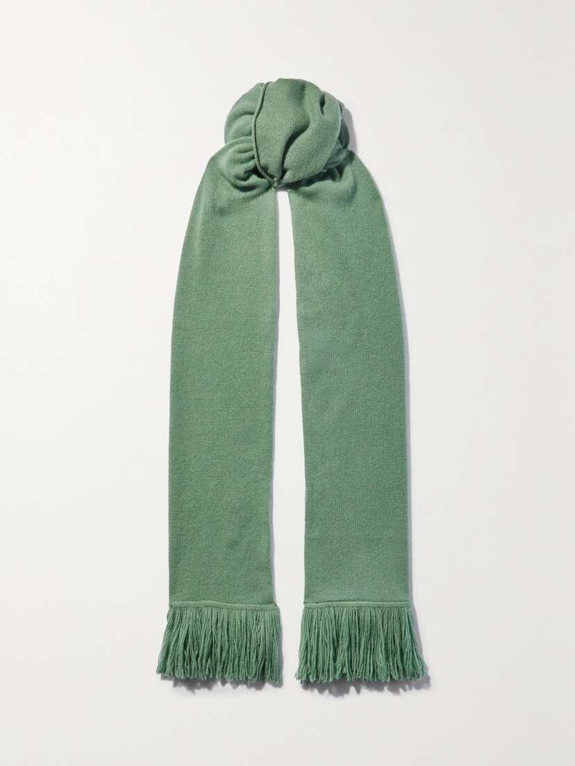 The Elder Statesman Fringed Cashmere Scarf