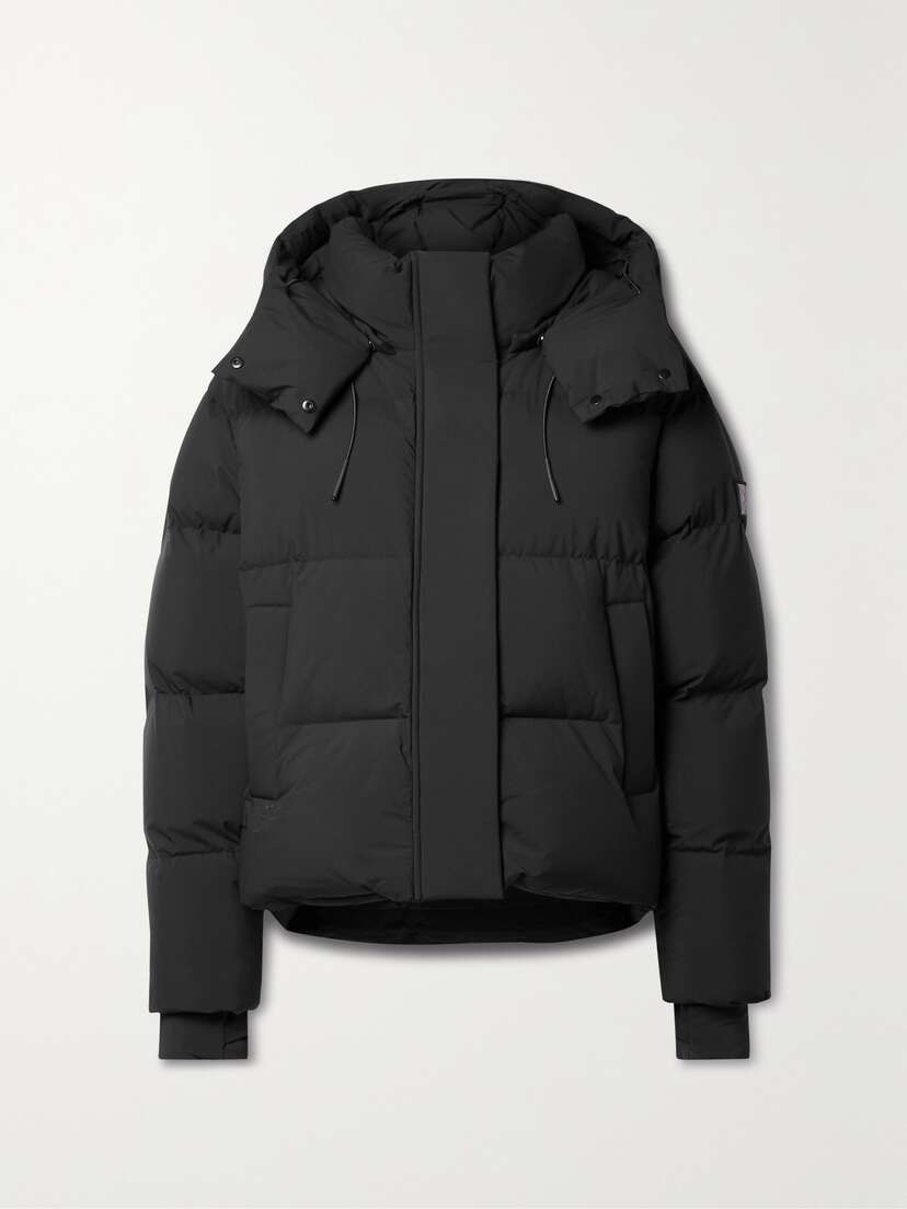 RUDSAK + Net Sustain Danna Appliquéd Quilted Hooded Soft-stretch Down Ski Jacket - x large