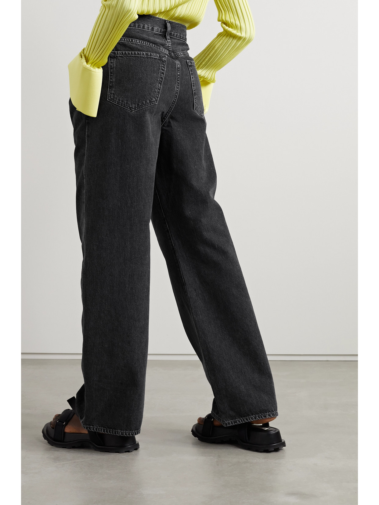 Goldsign The Edgar Pleated High-rise Wide-leg Jeans In Black