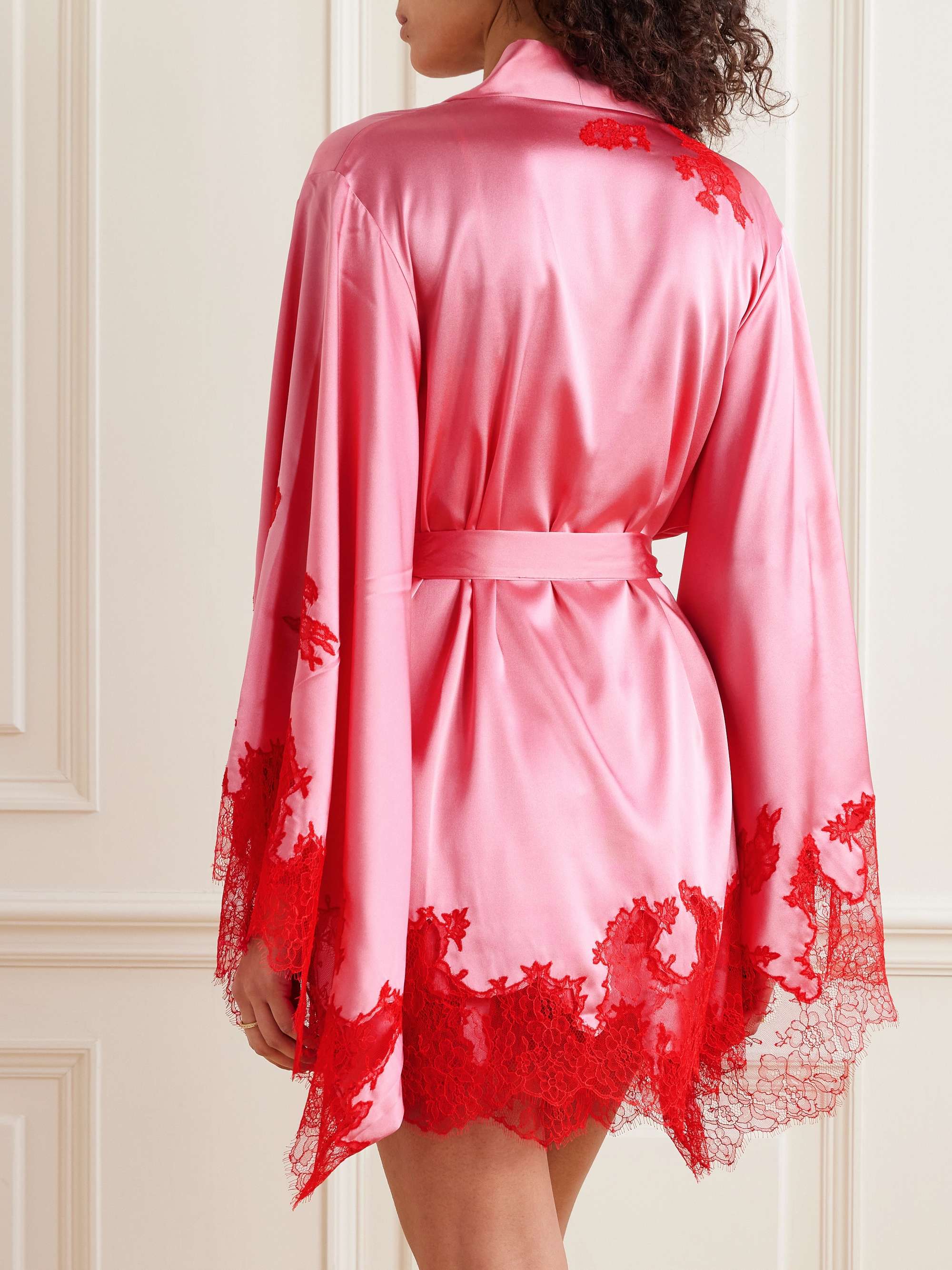 AGENT PROVOCATEUR 