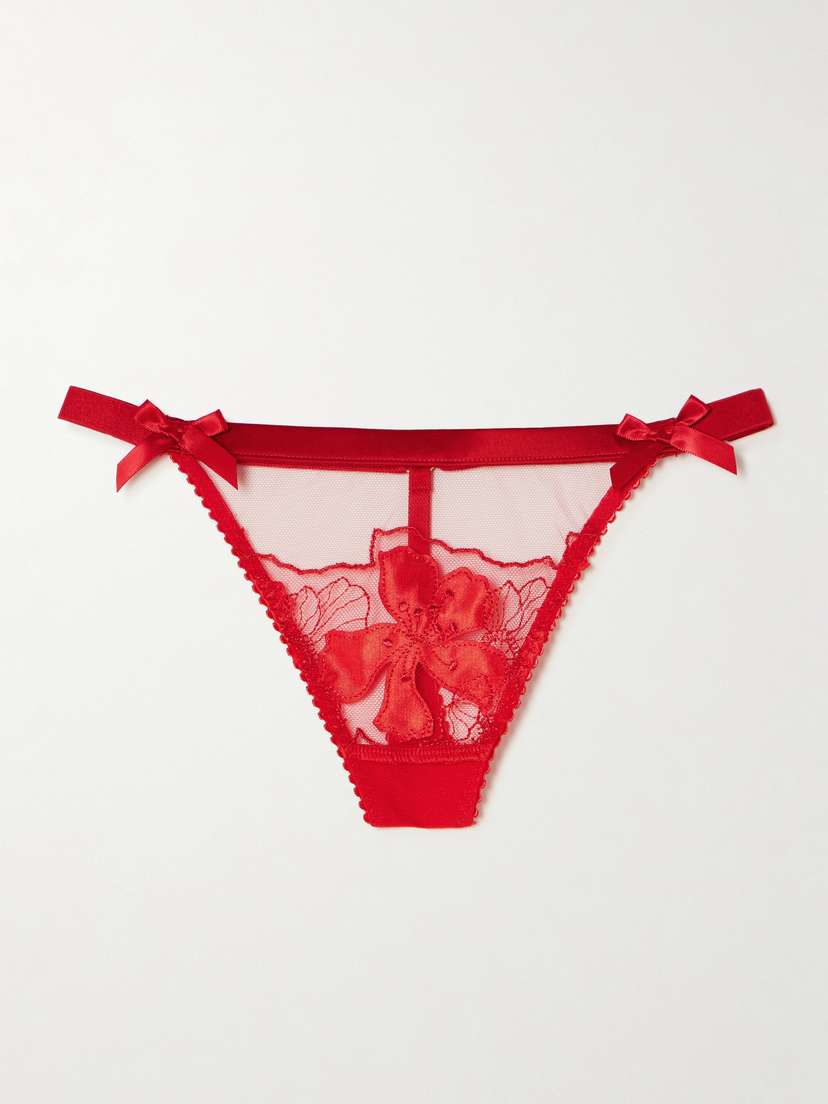 Agent Provocateur Ettah Embroidered Tulle And Satin Thong