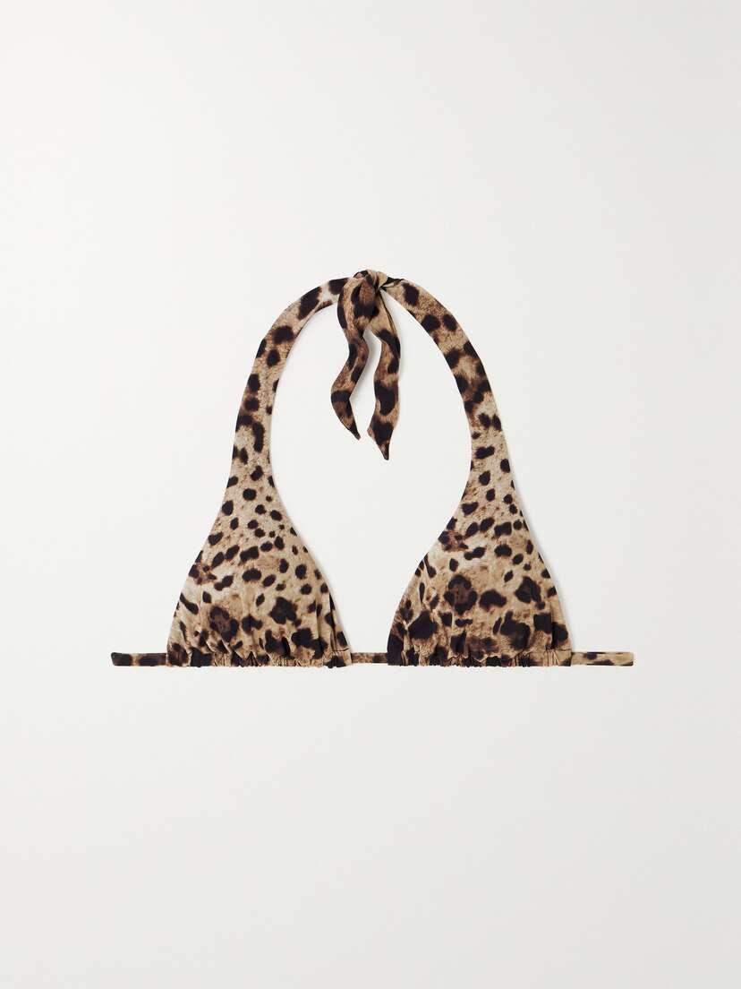 Dolce & Gabbana Leopard-print Halterneck Bikini Top
