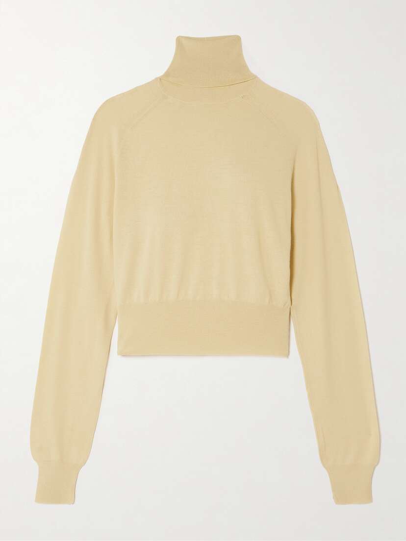 Petar Petrov Real Life Merino Wool Turtleneck Sweater - x large