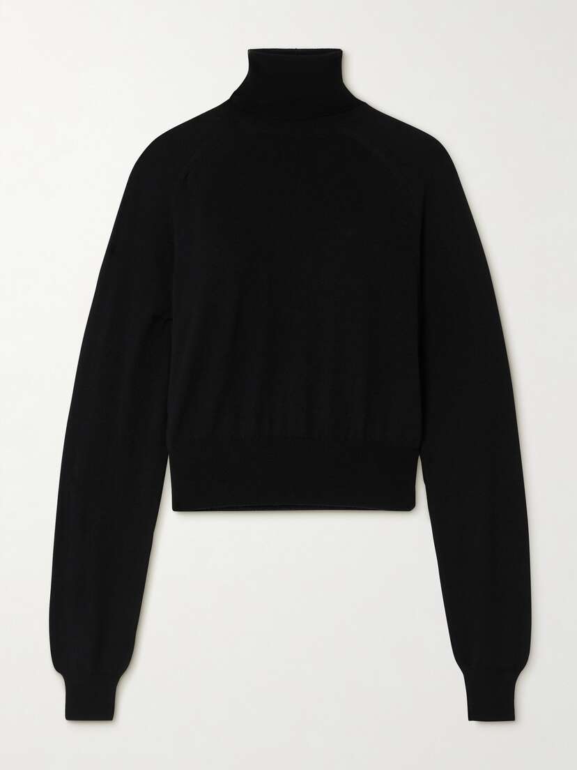 Petar Petrov Real Life Merino Wool Turtleneck Sweater