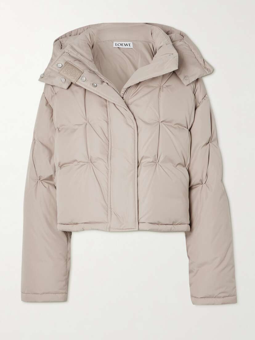 Loewe Hooded Leather-trimmed Quilted Shell Down Jacket