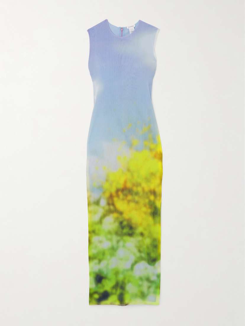 Acne Studios Printed Mesh Maxi Dress