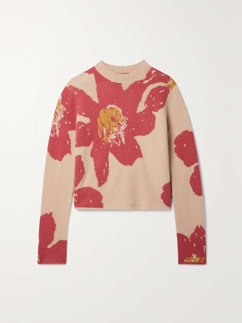 The Elder Statesman Cropped Intarsia Cashmere Sweater