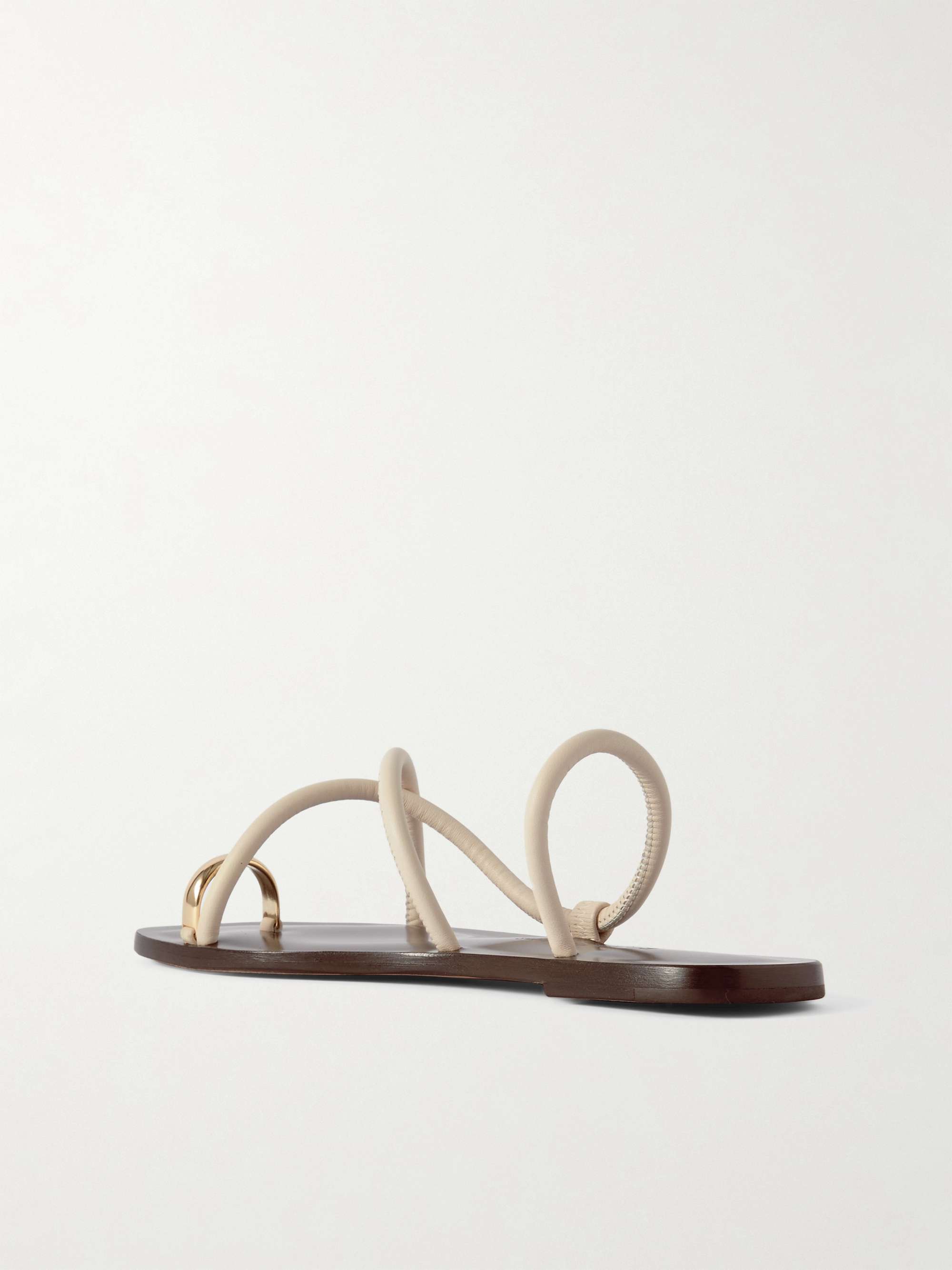EMME PARSONS 