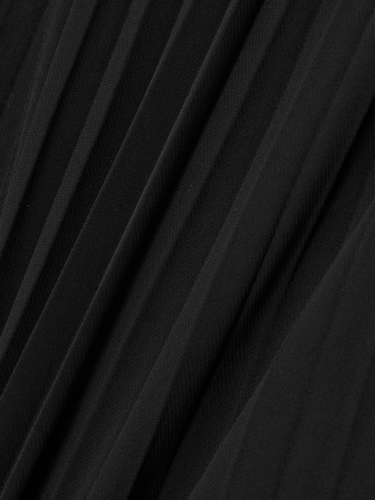Peter Do Pleated Sheer Maxi Skirt In Black