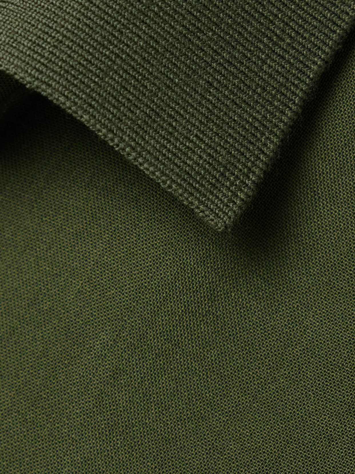 Loro Piana Leela Wool Shirt In Green