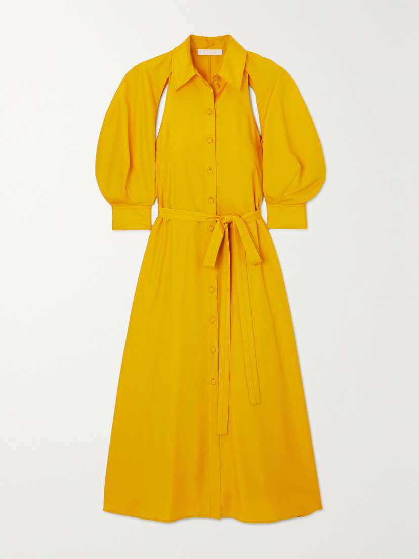 Chloé Belted Cutout Silk-satin Midi Dress