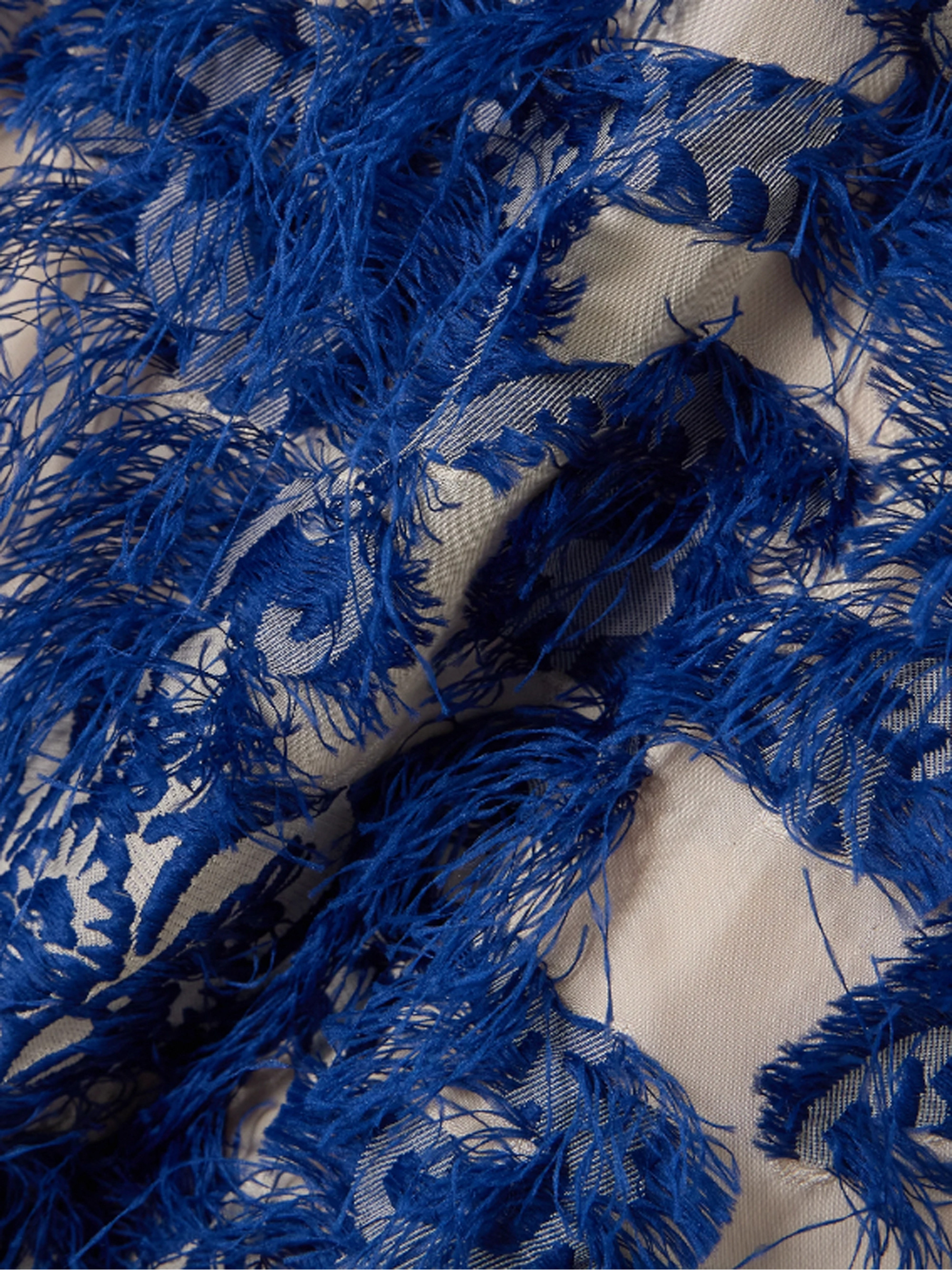 Erdem Fringed embroidered tulle midi dress