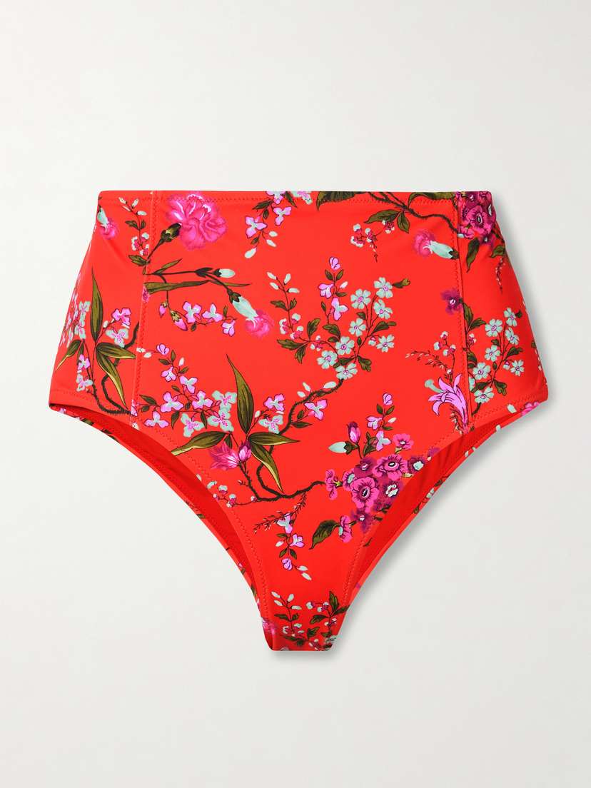 Erdem Floral-print Bikini Briefs