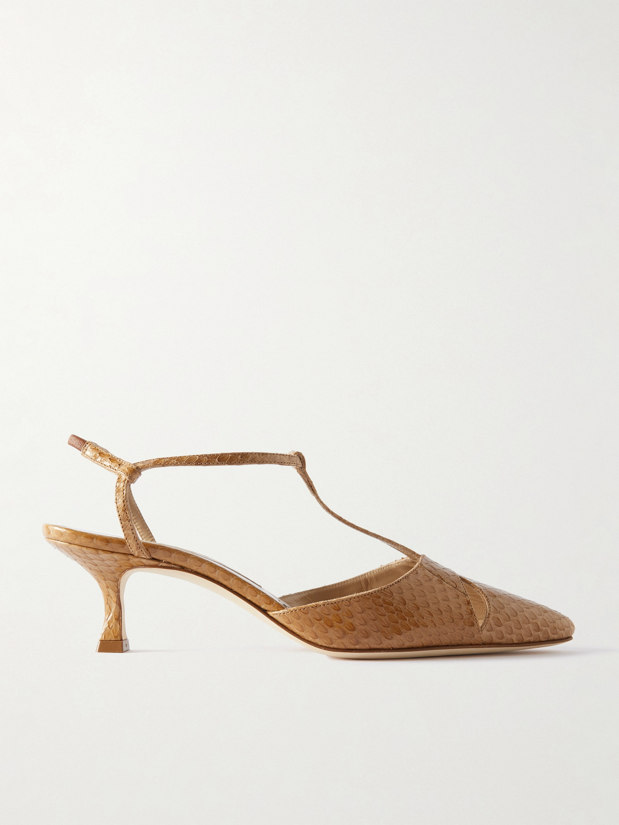 Manolo Blahnik Turgimod 50 Elaphe Pumps In Brown