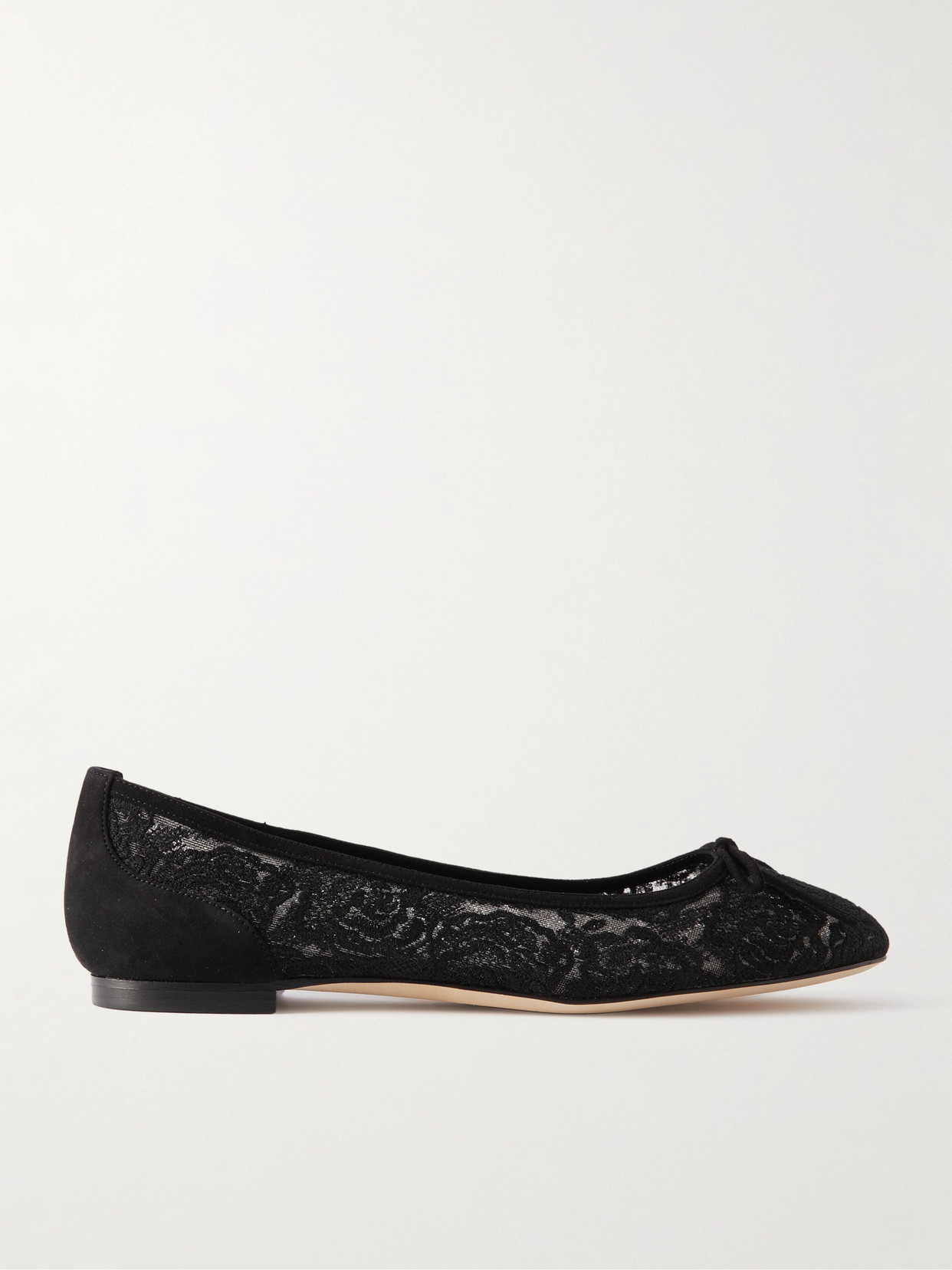 Manolo Blahnik Verizzo Floral-embroidered Ballerina Shoes In Black