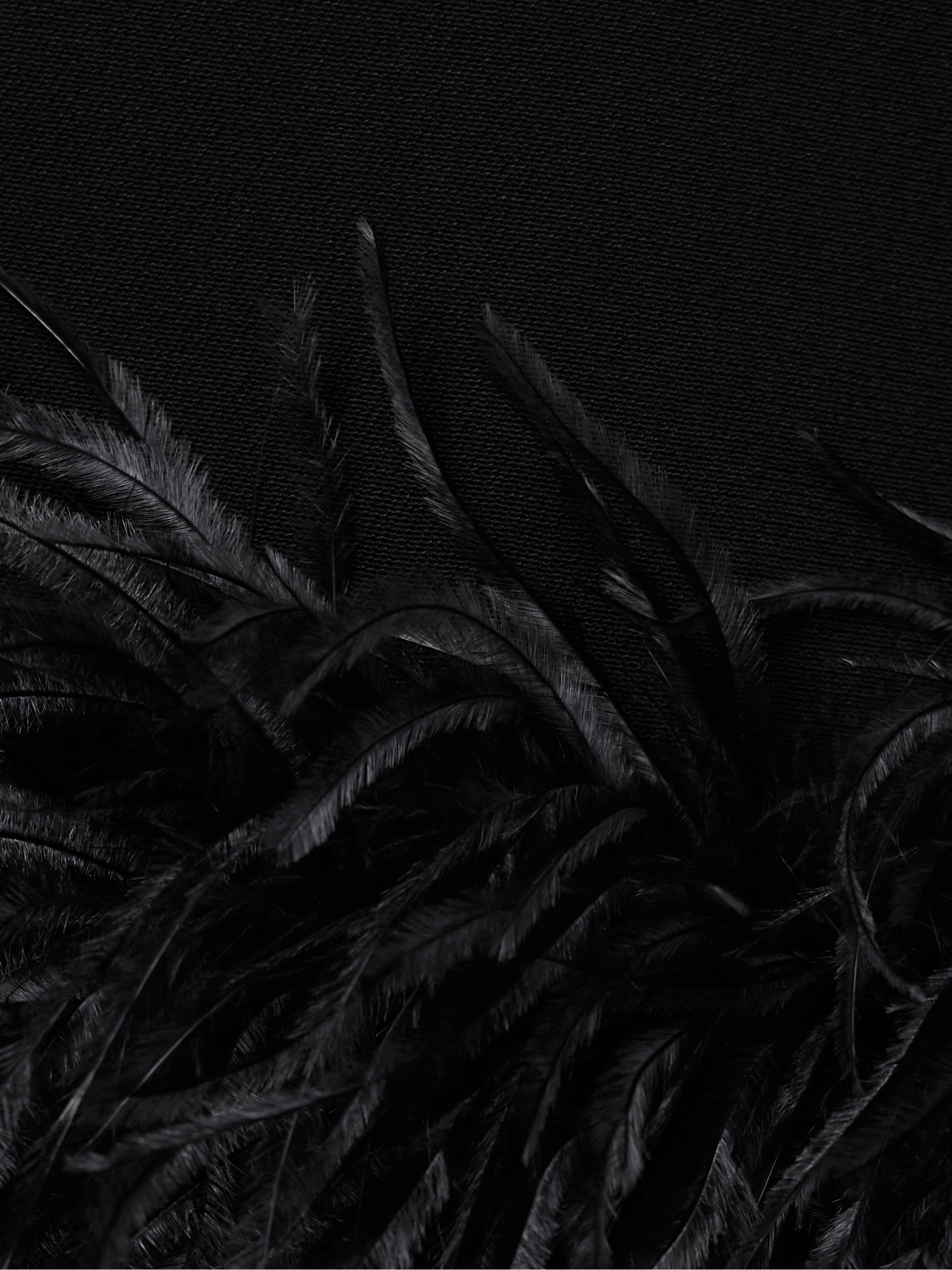 Valentino Garavani Feather-trimmed crepe mini dress