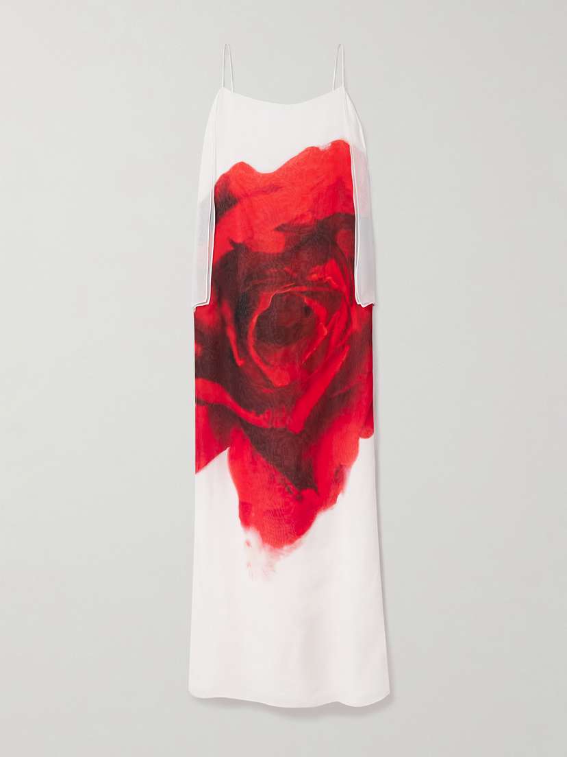 Alexander McQueen Draped Printed Silk-chiffon Maxi Dress