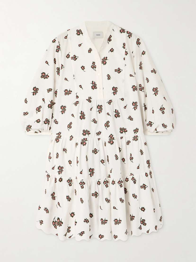 Erdem Embroidered Cotton-blend Mini Dress