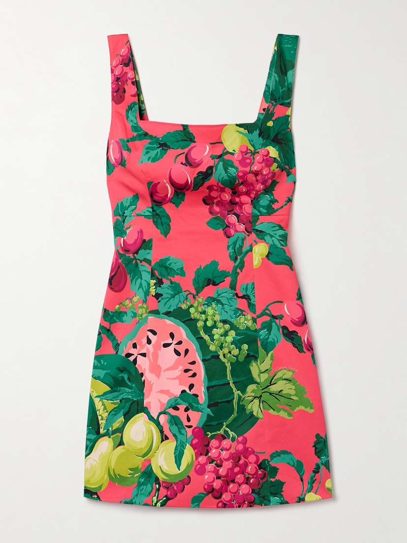 Cara Cara Anna Printed Cotton-blend Mini Dress