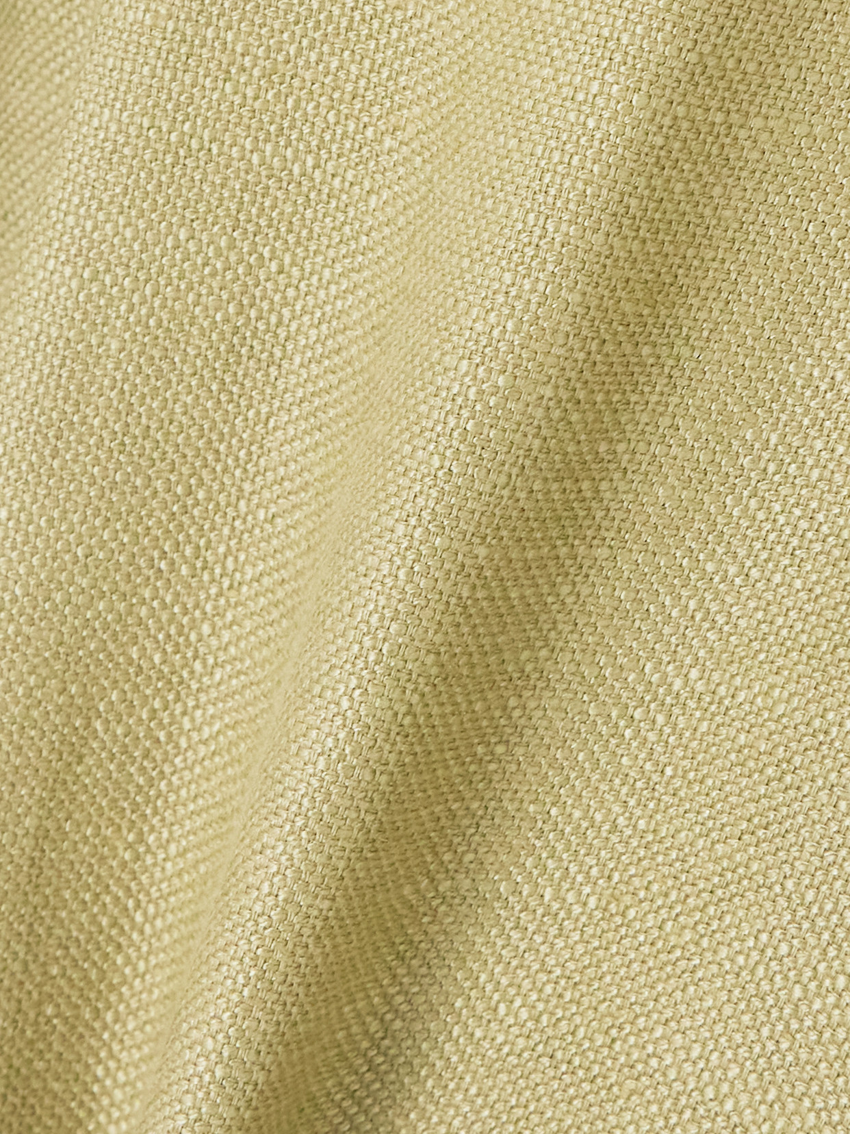 Blazé Milano Husi Pleated Linen And Silk-blend Wide-leg Pants In Green
