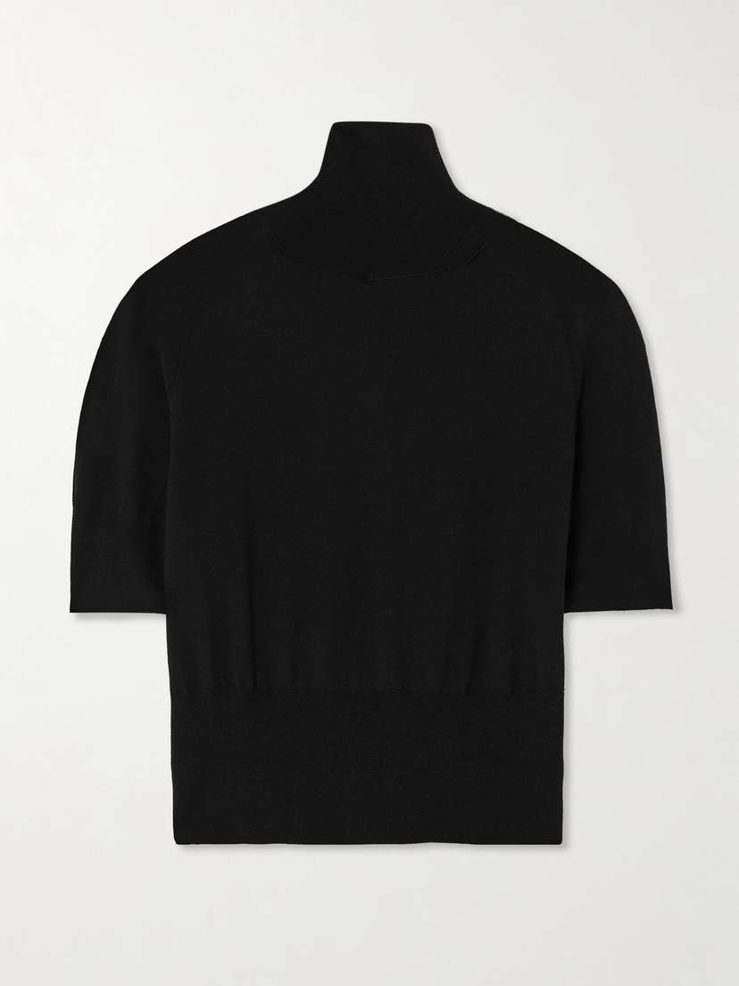 Petar Petrov The Polite Wool Turtleneck Sweater
