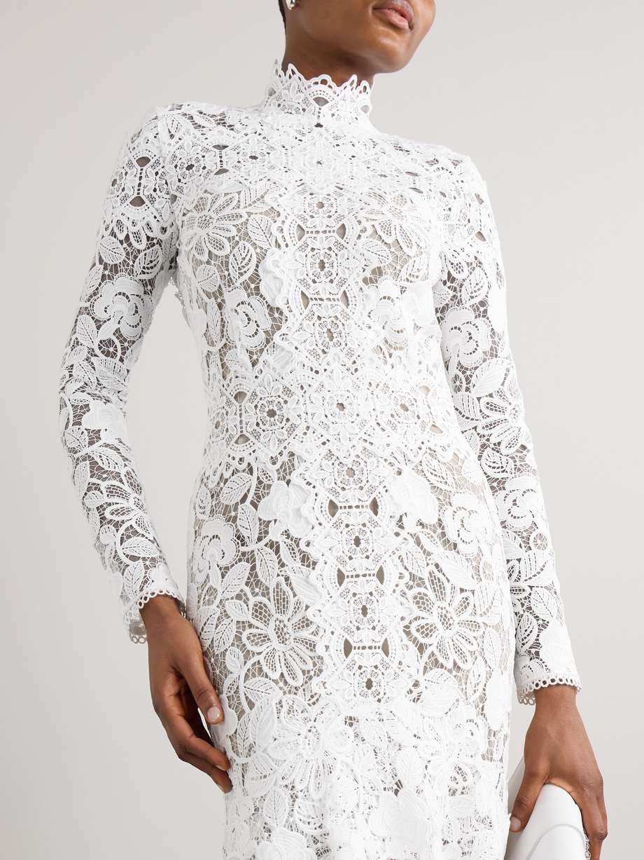 alessa cutout corded lace and tulle turtleneck gown